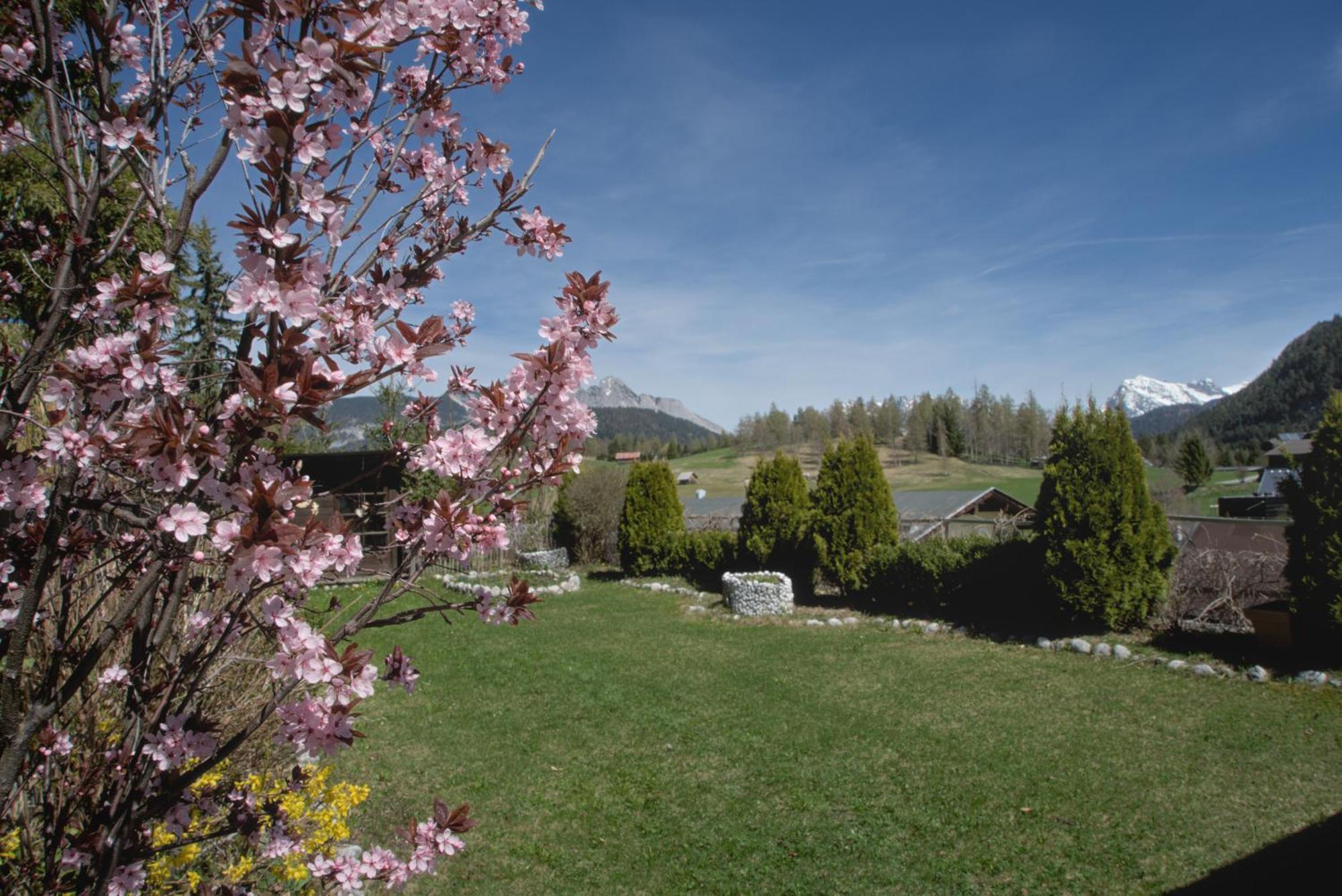 Haus Tannengruen Apartman Seefeld in Tirol Kültér fotó
